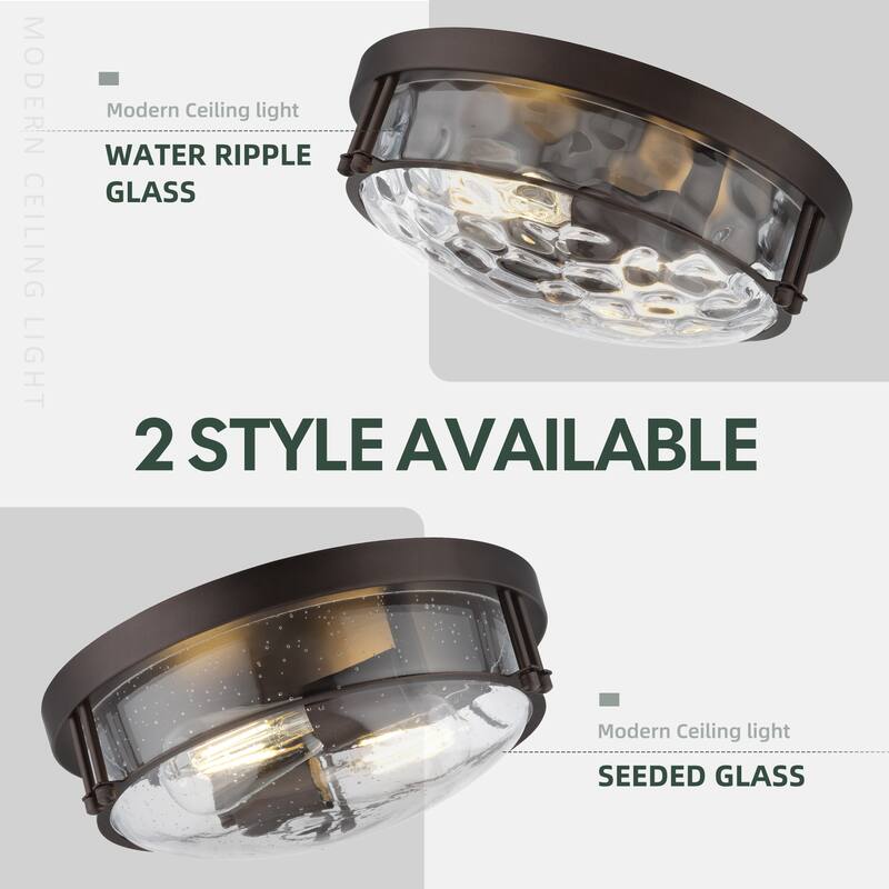 2-Light Black Glass Ceiling Light