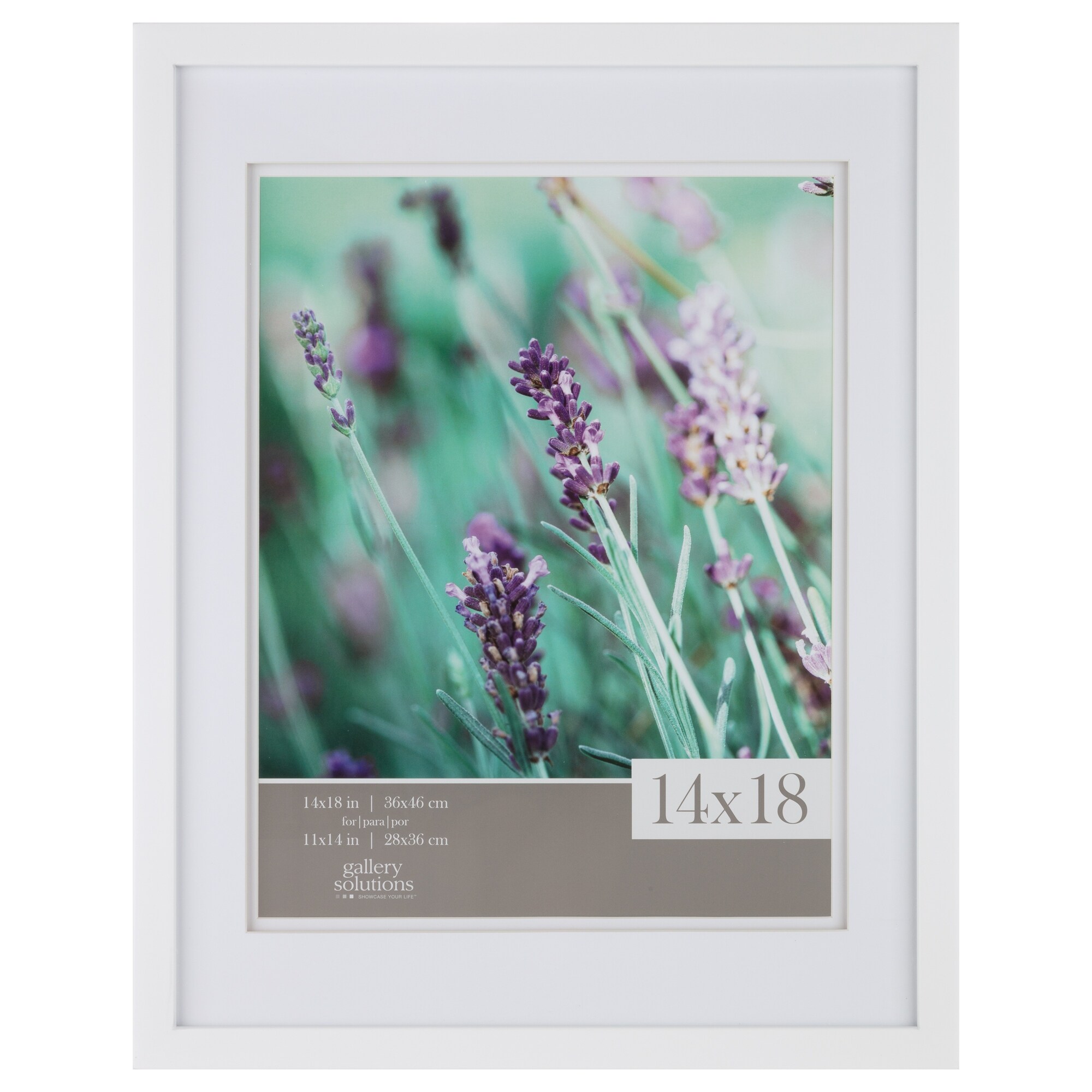 Gallery Solutions White 14 inch x 18 inch Airfloat Matted to 11