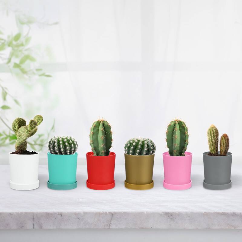 2-Pack Plant Pots, 4.5 Inch Plastic Pots with Drainage Holes