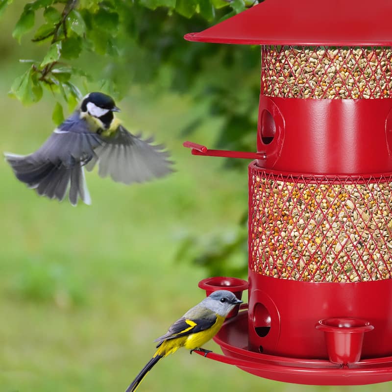 Javlergo Hanging Wild Bird Feeders for Outdoors, Squirrel Proof, Large Capacity Outside Bird Feeder
