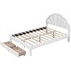 preview thumbnail 6 of 16, Queen Size Upholstered Platform Bed with Seashell Headboard, LED Lighting, and 2 Drawers - High-Density Comfort