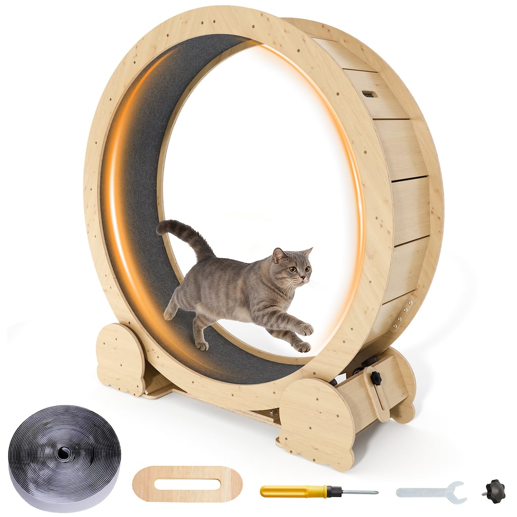 Cat Exercise Wheel - 46" Running Treadmill for Indoor Cats