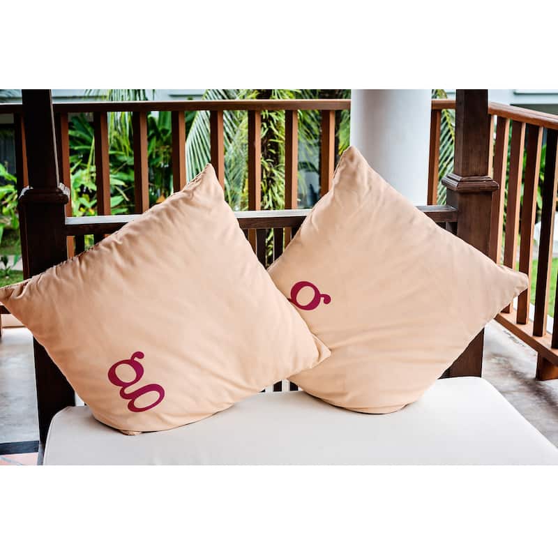 Modern Monogram Indoor/Outdoor Throw Pillow-G