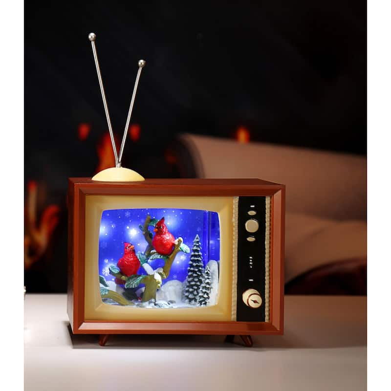 LED Lighted Cardinal Winter Scenery TV Christmas Decoration - 9.25" - Set of 2