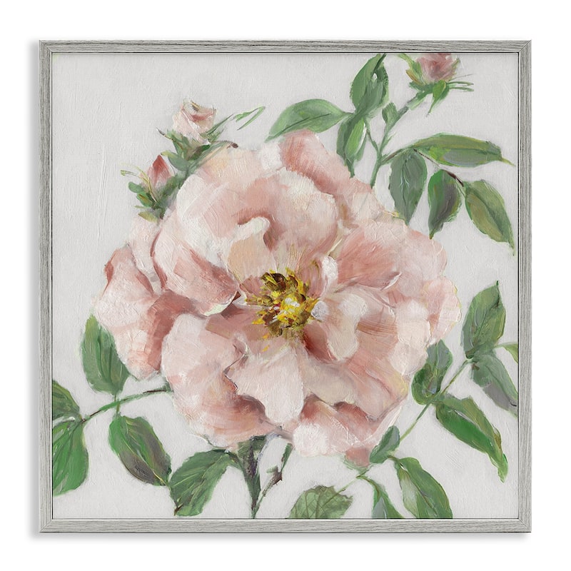 Stupell Traditional Single Pink Blossom Framed Giclee Art Design By Sally Swatland - 24 x 24 - Grey