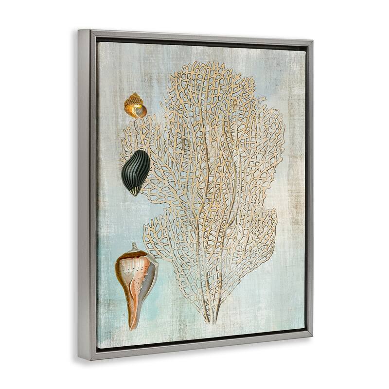 Stupell Detailed Coral & Seashells Framed Floater Canvas Wall Art Design By Susan Arnot