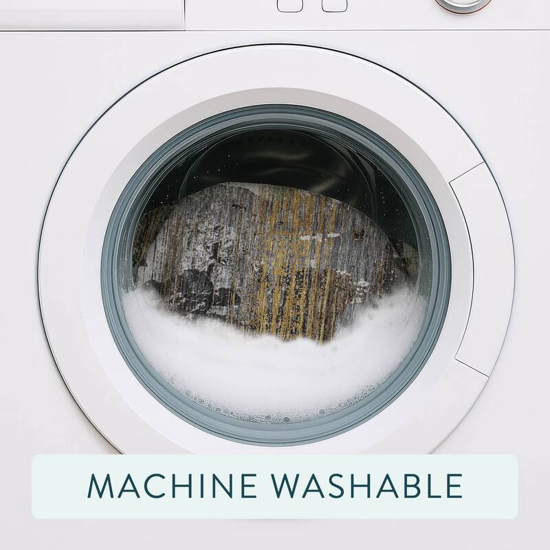 Machine Washable Indoor/ Outdoor Chic Veta Chantille Rug