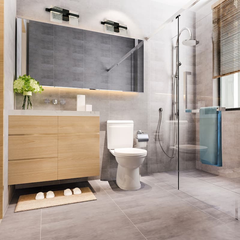 Madrona 2-light LED Bath and Vanity Light with Clear Seedy Acrylic