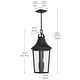 preview thumbnail 9 of 12, Cleary 2-Light Outdoor Pendant with Clear Glass - 24.75