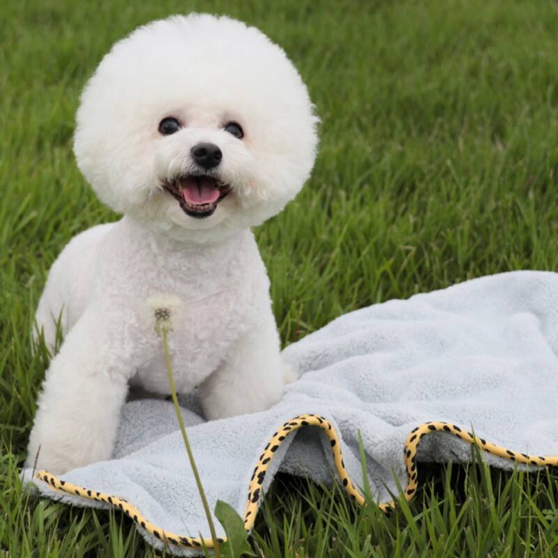 PET’S FAVORITE TOWEL, Premium High Quality Microfiber Pet Towel, Ultra-Absorbent, Quick Drying Towel, White, Made in Korea