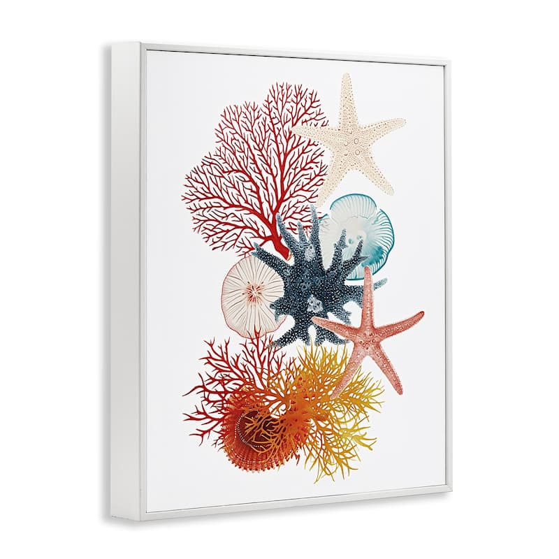 Stupell Coral & Undersea Creatures Framed Giclee Art Design By Ramona Murdock