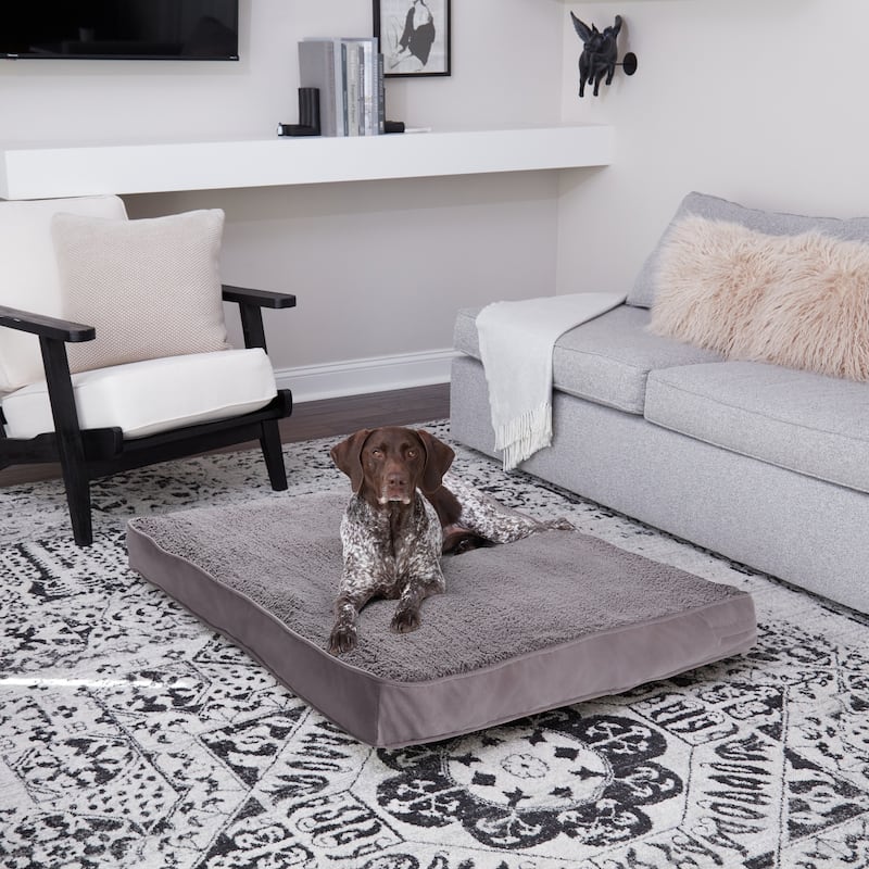 Daisy Deluxe Supportive Pillow Dog Bed