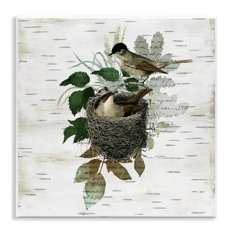 Stupell Birds in Vintage Nest Wall Plaque Art Design By Susan Arnot - 12 x 12
