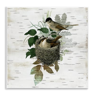Stupell Birds in Vintage Nest Wall Plaque Art Design By Susan Arnot