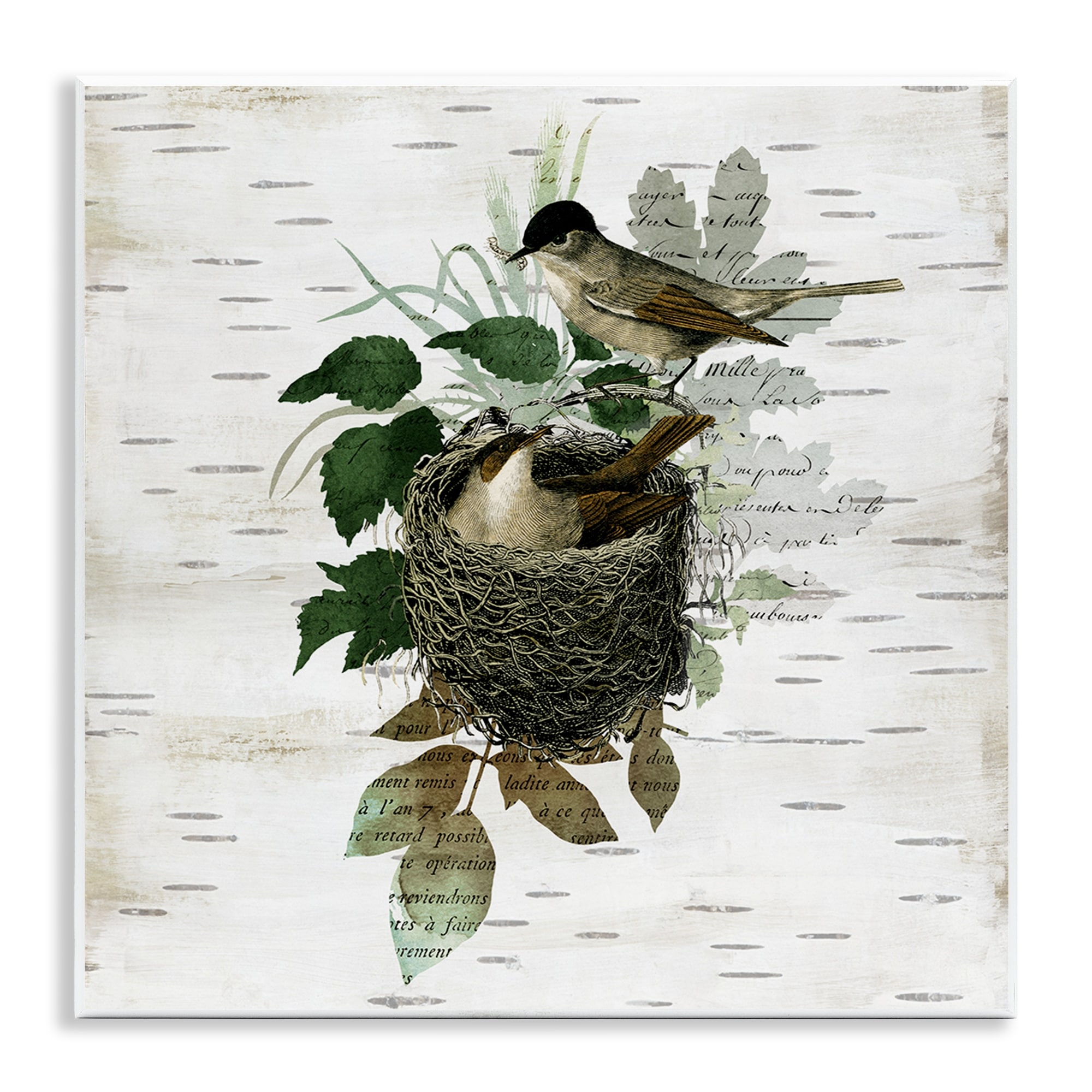 Stupell Birds in Vintage Nest Wall Plaque Art Design By Susan Arnot