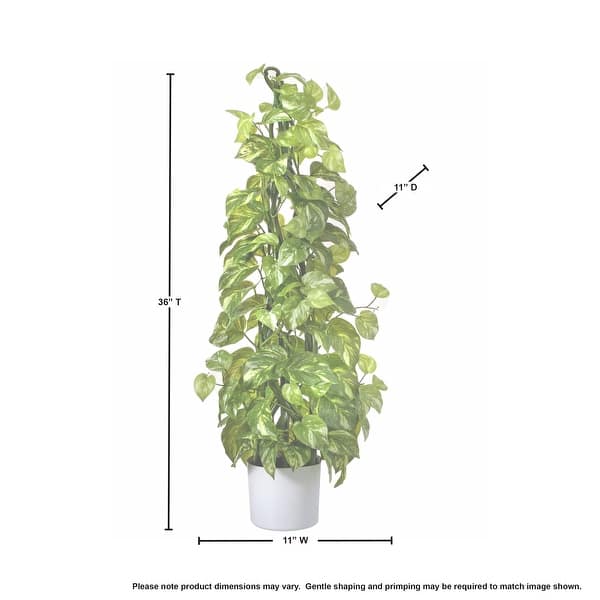 Potted Climbing Pothos 3', Natural Touch