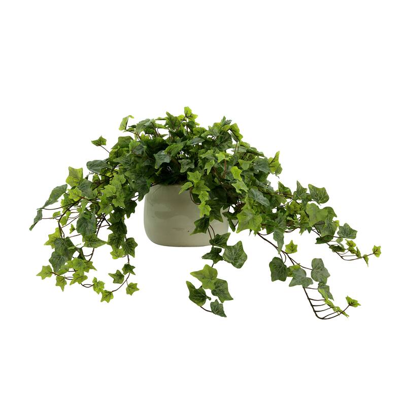 Ivy Arrangement in a Ceramic Pot - Green