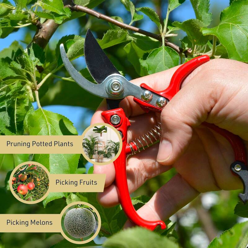 Kings County Tools 6” Heavy Duty Small Bypass Pruning Shears for Gardening