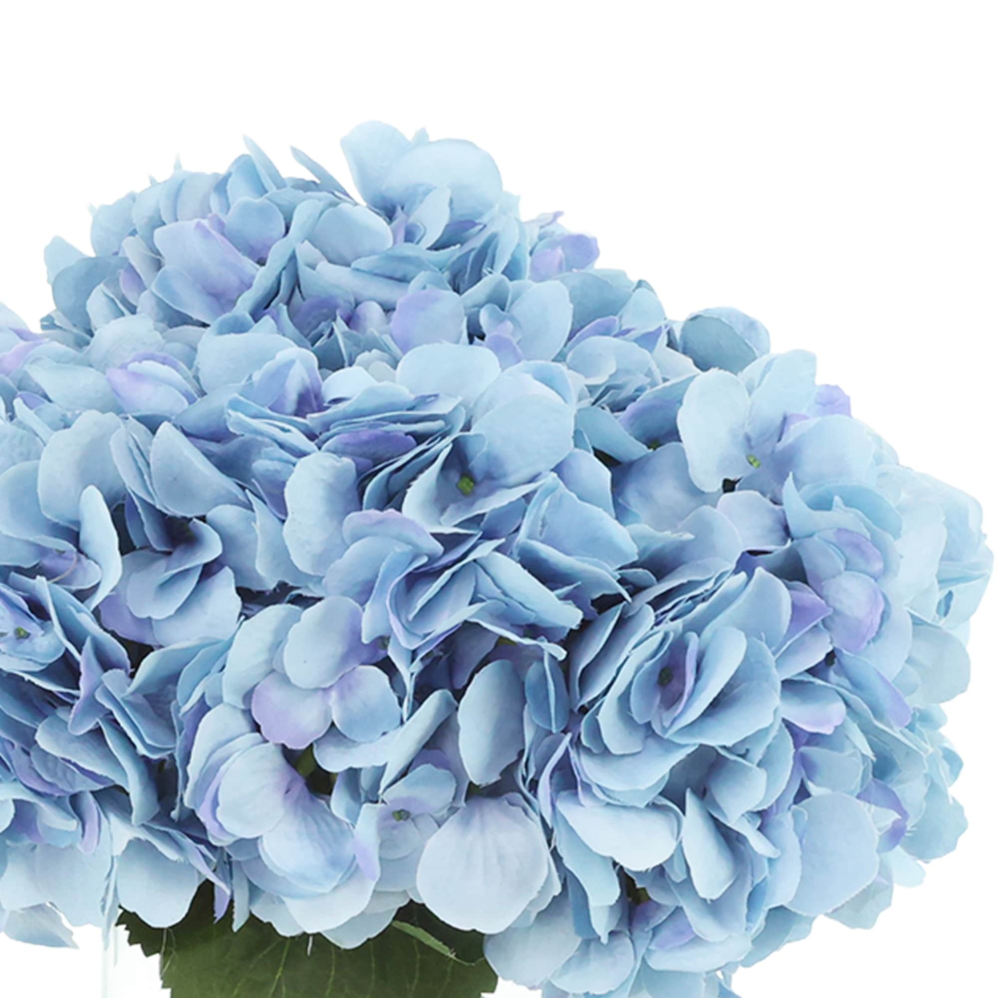hama1123★ Hydrangeas-in-Glass-Vase.jpg