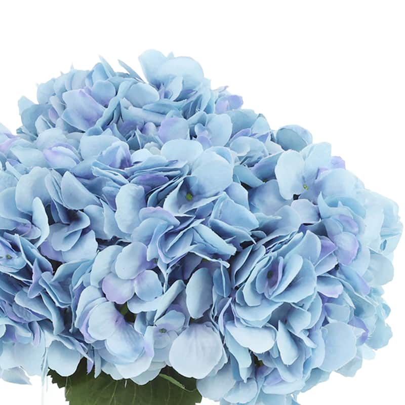 Hydrangeas in Glass Vase
