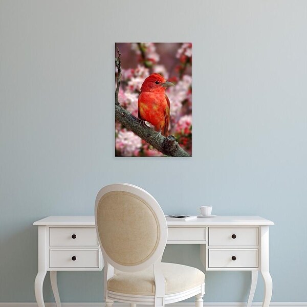 Easy Art Prints Adam Jones's 'Male Summer Tanager' Premium Canvas Art