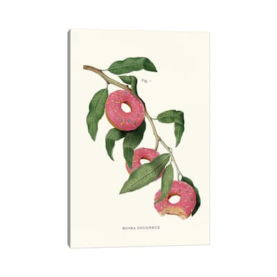 iCanvas "Donut Plant" by Jonas Loose Canvas Print