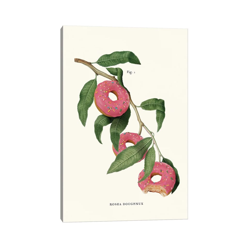 iCanvas "Donut Plant" by Jonas Loose Canvas Print