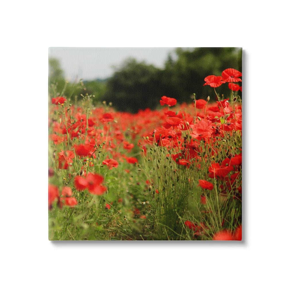 Stupell Brilliant Red Poppy Meadow Scenic Flower Blooms Canvas Wall Art, Design by Dan Meneely