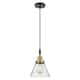 Option Black Antique Brass / Seedy Shade
