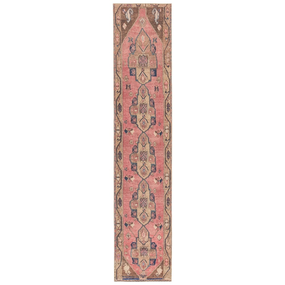 Lani Machine Washable Medallion Pink/Blue Area Rug