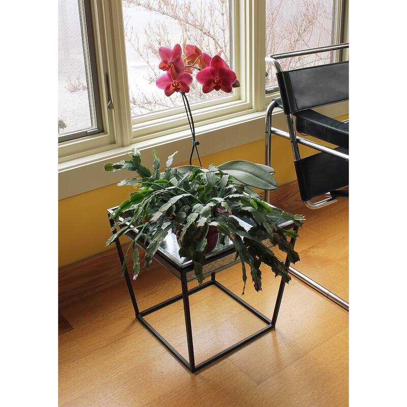 Achla Designs Small Indoor Outdoor Arne Plant Stand With Galvanized Tray, 14 Inch Tall, Black Powder Coat Finish