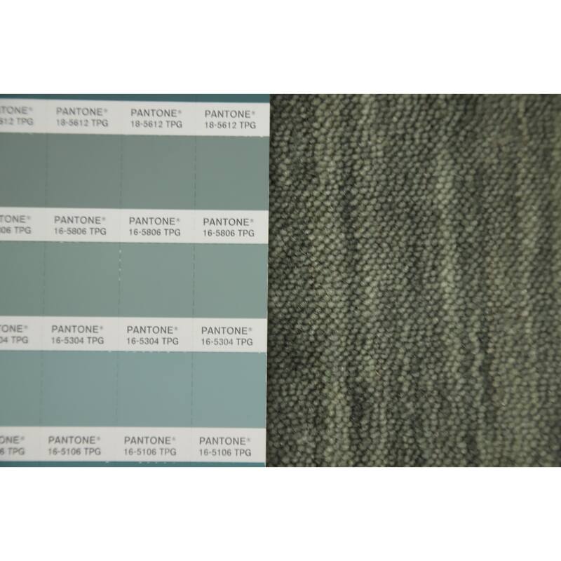 Hand Knotted Oriental 100% Wool Carpet Tribal Animal Pictorial Green Gabbeh Area Rug - 4' 11'' X 3' 0''