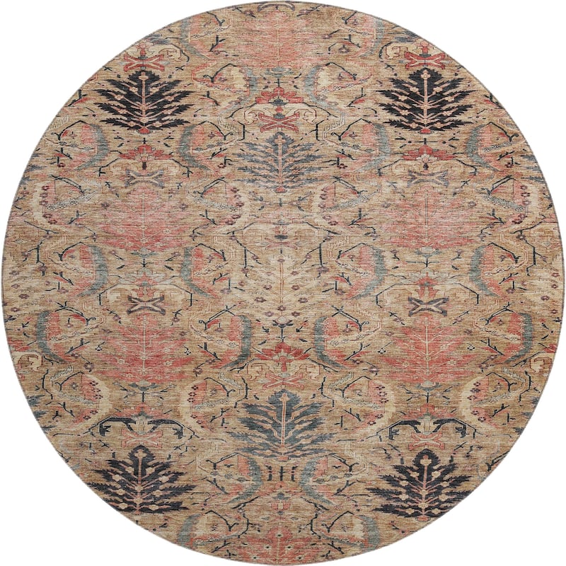 Premium Washable Super Soft Traditional Mayfield Rug