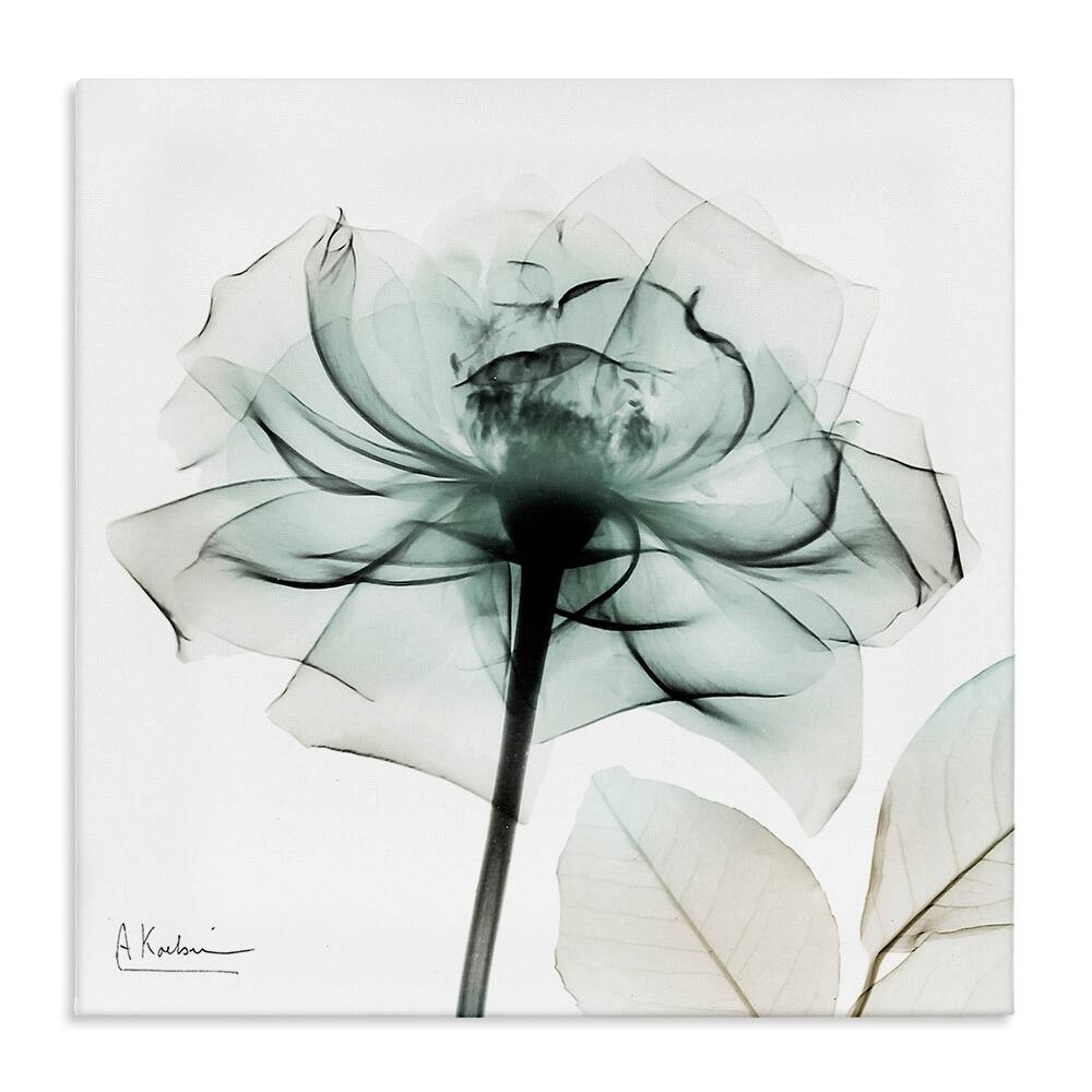 Stupell Transparent Flower Blossom Canvas Wall Art Design By Albert Koetsier