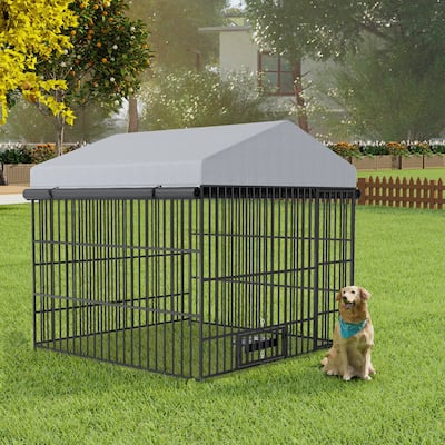 GDF Studio - Rockwell Outdoor Dog Kennel with Roof Cover & Feeding System
