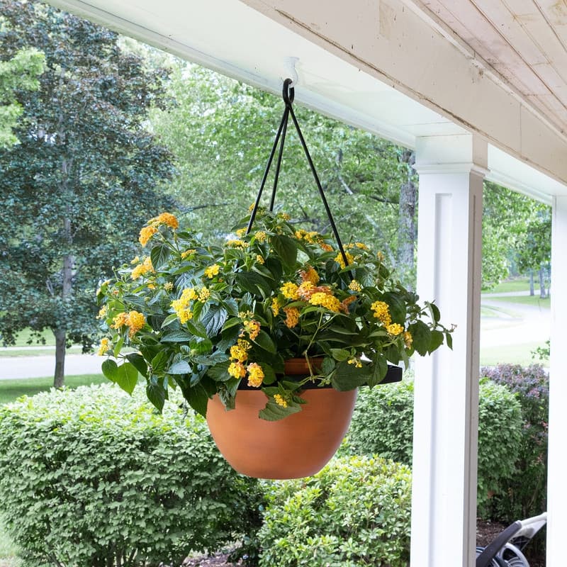 Achla Designs 28"H Black Wrought Iron Lina Hanging Planter w/ Burnt Sienna Galvanized Steel Pot