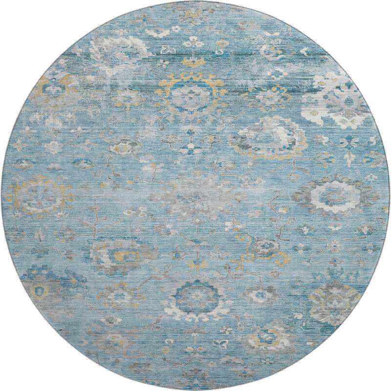Premium Washable Super Soft Traditional Vintage Mayfield Rug