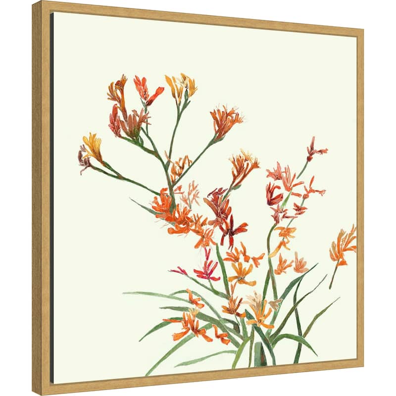 Kangaroo Paw 1 by Elan Studios Framed Canvas Wall Art Print - Sylvie Bright Gold