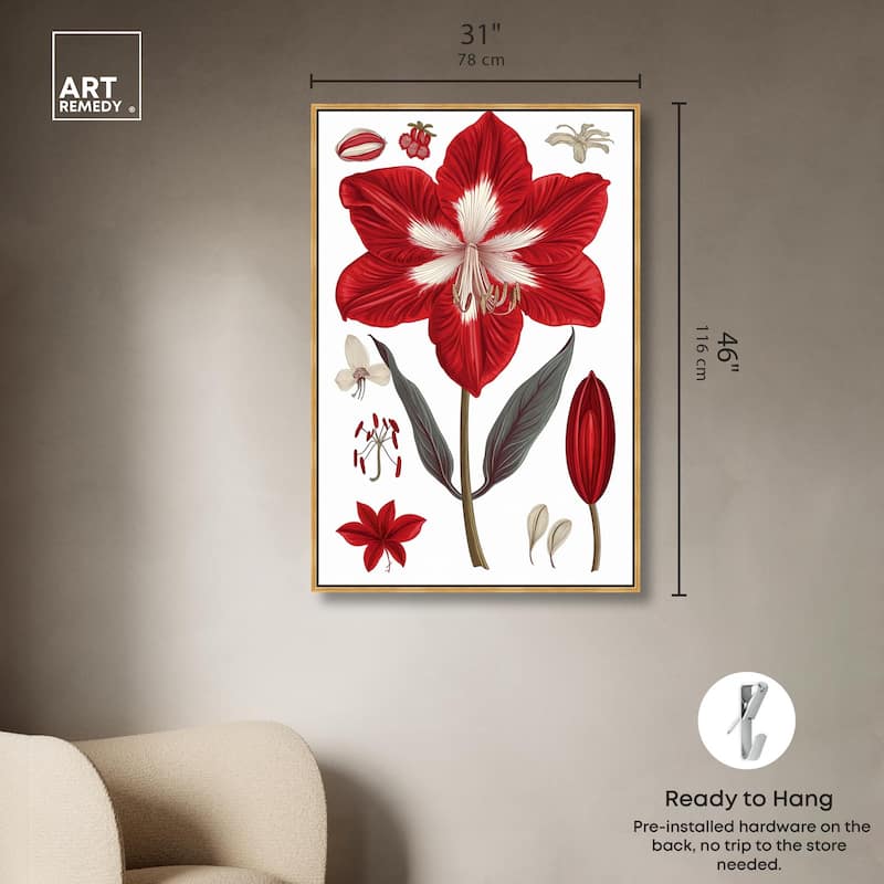 Amaryllis Anatomy Canvas by Art Remedy