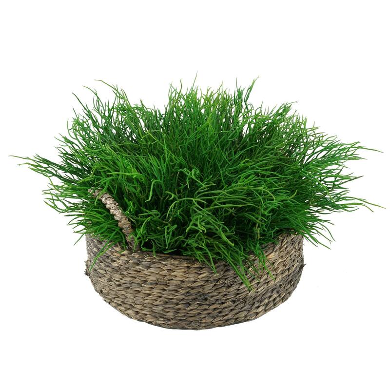 Faux Saltwort in Small Seagrass Tray Basket - Grey-Washed