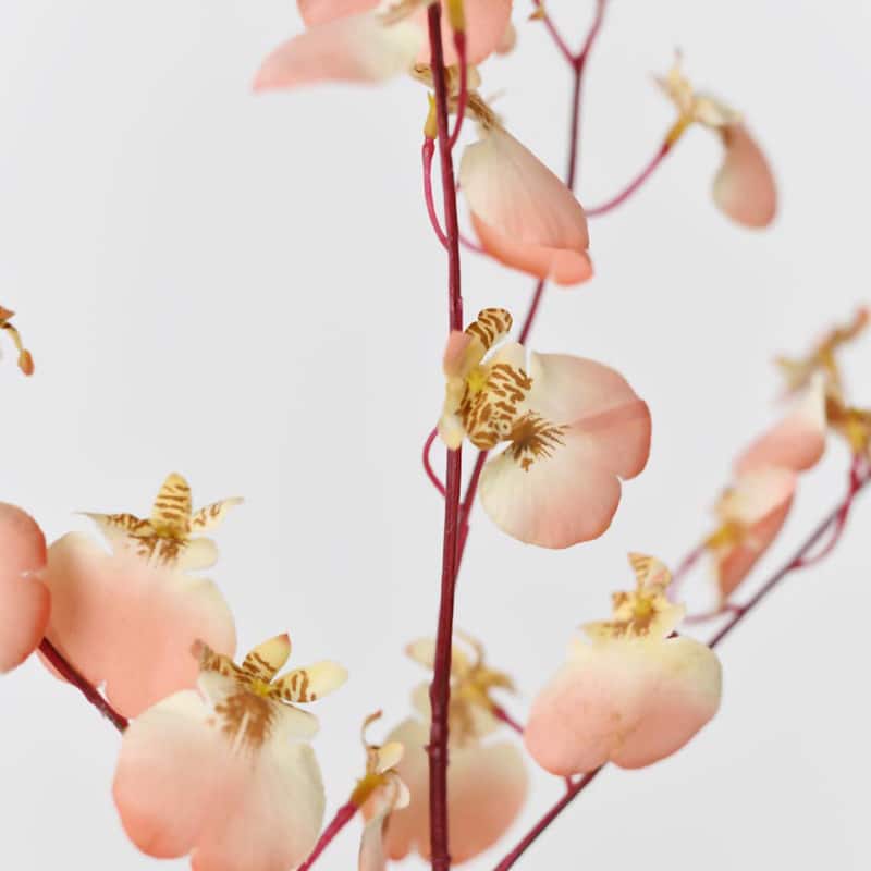 Coral Pink Silk Decorative Artificial Dancing Lady Orchid Faux Flowers(Pack of 1 Branch)