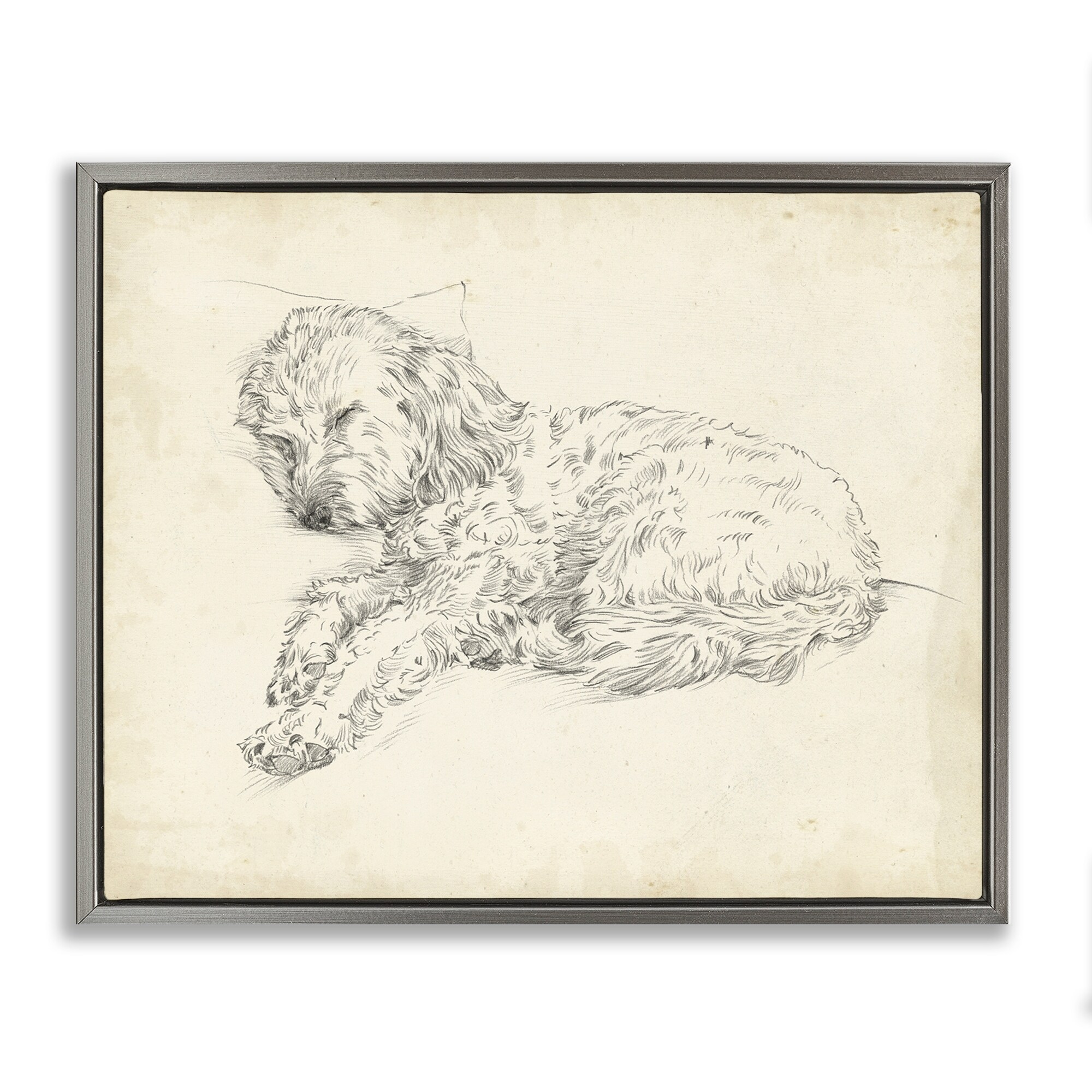 Stupell Antique Sleeping Dog Sketch Framed Floater Canvas Wall Art Design By Ethan Harper
