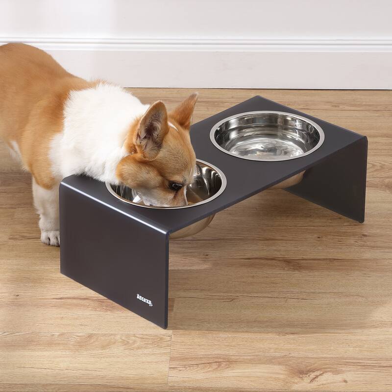 Keaton 7.5" Medium/Large Modern Lucite Rectangular Elevated Pet Feeder with 54oz 2-Stainless Steel Bowls