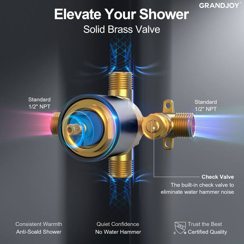 GRANDJOY Wall Mounted 5-Spray Shower System including Handheld Sprayer
