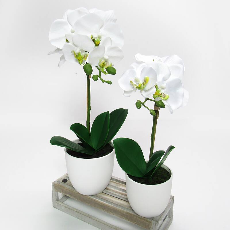 Artificial Phalaenopsis Orchid Flower Arrangement in White Pot 17in