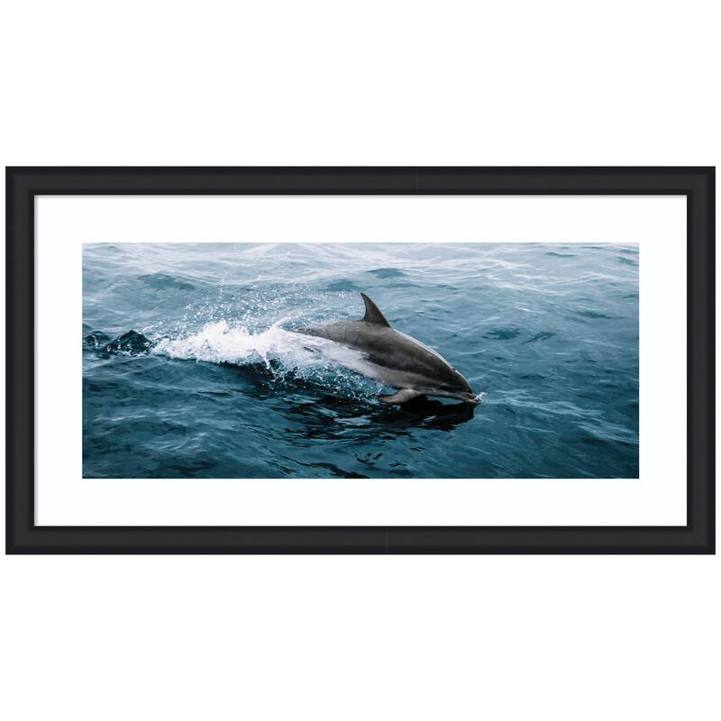 Kate and Laurel Framed Art Dolphin Skipping along in the Ocean Panel by Michael Schauer - 43x24 - Black