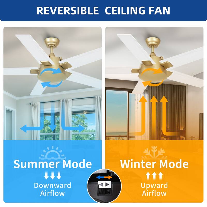 Moasis 52 Inch Modern Black Gold Ceiling Fan with Wall Switch & Remote