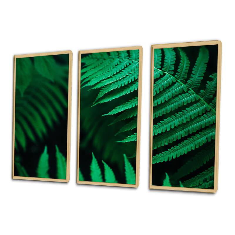 Designart "Dark Green Fern Leaf On Black III" Tropical Framed Wall Decor Set of 3 - 4 Colors of Frames