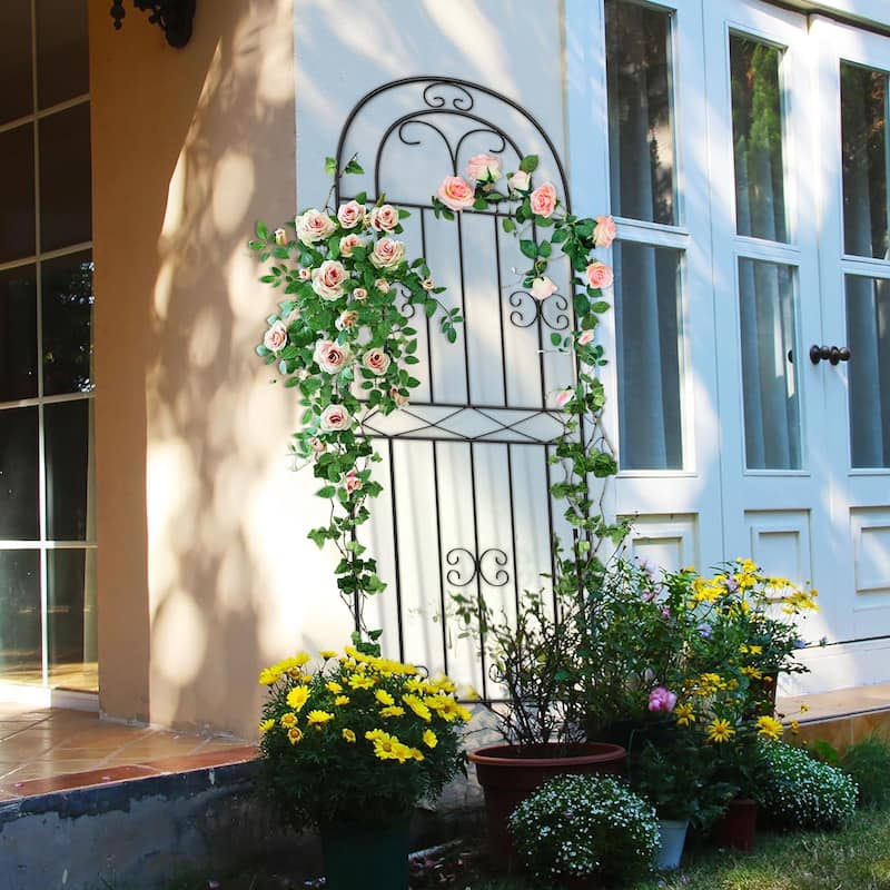 70.8" H x 19.7" W Metal Garden Trellis with Black Coating - 70.8" X 19.6"