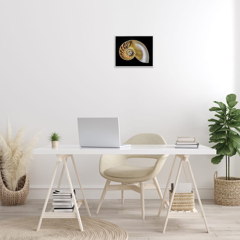 Stupell Tan Nautilus Shell on Black Framed Giclee Art Design By Mary Lou Johnson
